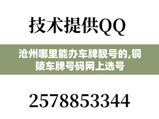 沧州哪里能办车牌靓号的,铜陵车牌号码网上选号