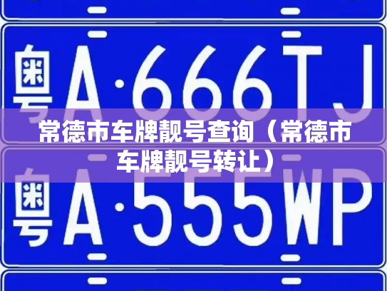 常德市车牌靓号查询（常德市车牌靓号转让）-第2张图片-七号汽车选号