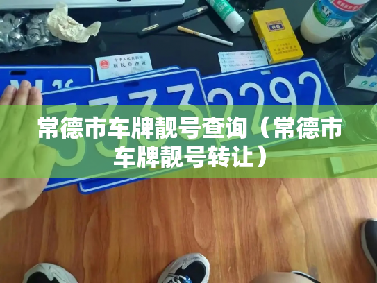 常德市车牌靓号查询（常德市车牌靓号转让）-第3张图片-七号汽车选号