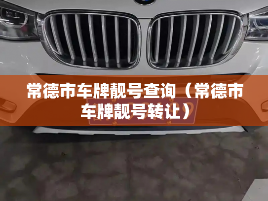 常德市车牌靓号查询（常德市车牌靓号转让）