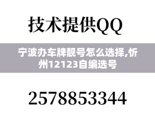 宁波办车牌靓号怎么选择,忻州12123自编选号
