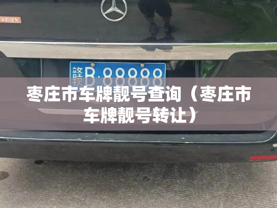 枣庄市车牌靓号查询(枣庄市车牌靓号转让)-第3张图片-七号汽车选号 枣庄市车牌靓号查询(枣庄市车牌靓号转让)-第3张图片-七号汽车选号