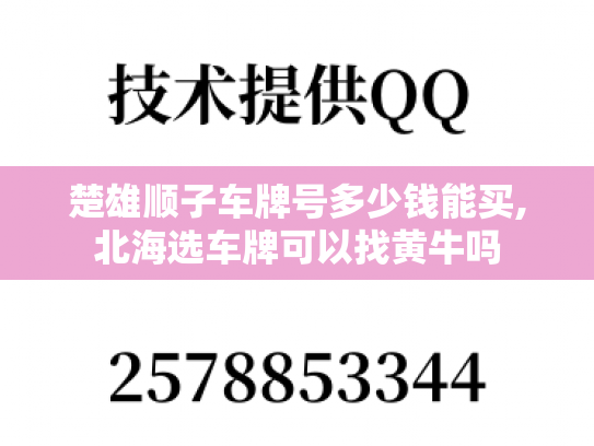 楚雄顺子车牌号多少钱能买,北海选车牌可以找黄牛吗