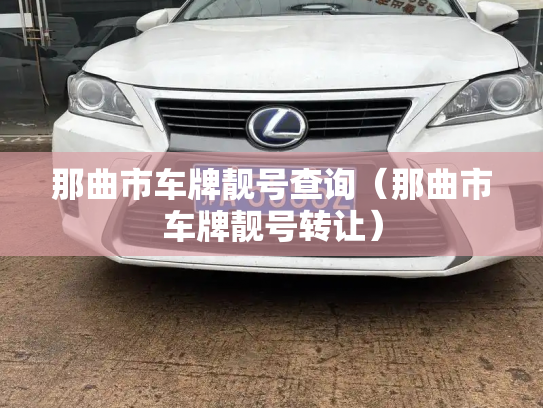 那曲市车牌靓号查询(那曲市车牌靓号转让)-第3张图片-七号汽车选号 那曲市车牌靓号查询(那曲市车牌靓号转让)-第3张图片-七号汽车选号