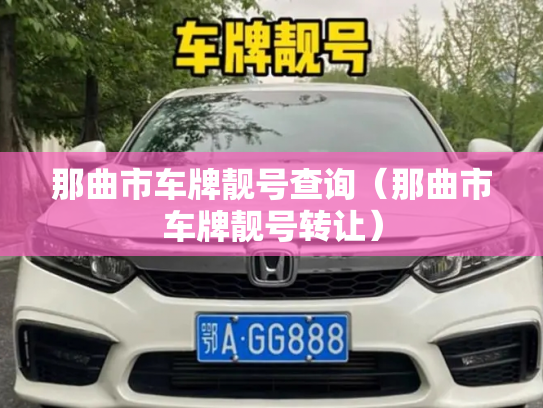 那曲市车牌靓号查询（那曲市车牌靓号转让）
