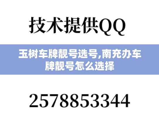 玉树车牌靓号选号,南充办车牌靓号怎么选择