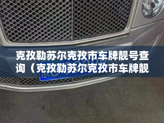 克孜勒苏尔克孜市车牌靓号查询(克孜勒苏尔克孜市车牌靓号转让)-第3张图片-七号汽车选号 克孜勒苏尔克孜市车牌靓号查询(克孜勒苏尔克孜市车牌靓号转让)-第3张图片-七号汽车选号