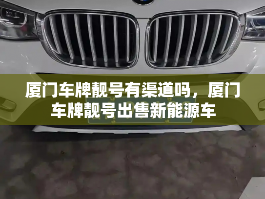 厦门车牌靓号有渠道吗，厦门车牌靓号出售新能源车-第2张图片-七号汽车选号