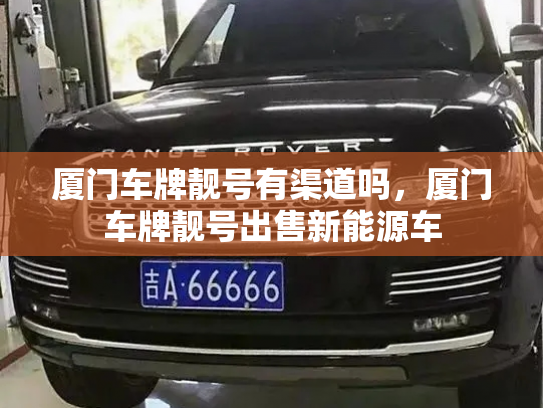 厦门车牌靓号有渠道吗，厦门车牌靓号出售新能源车-第3张图片-七号汽车选号