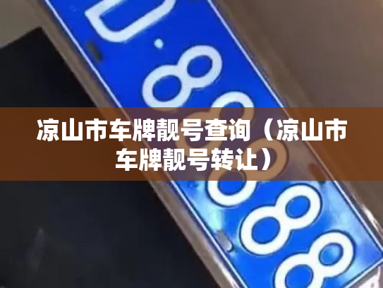 凉山市车牌靓号查询（凉山市车牌靓号转让）