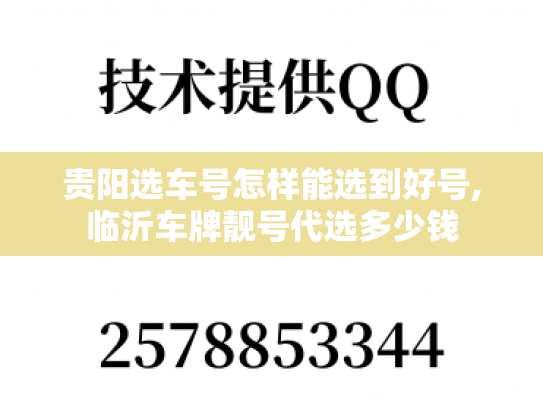 贵阳选车号怎样能选到好号,临沂车牌靓号代选多少钱