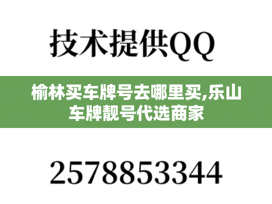 榆林买车牌号去哪里买,乐山车牌靓号代选商家