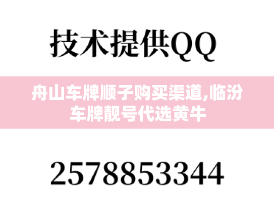 舟山车牌顺子购买渠道,临汾车牌靓号代选黄牛