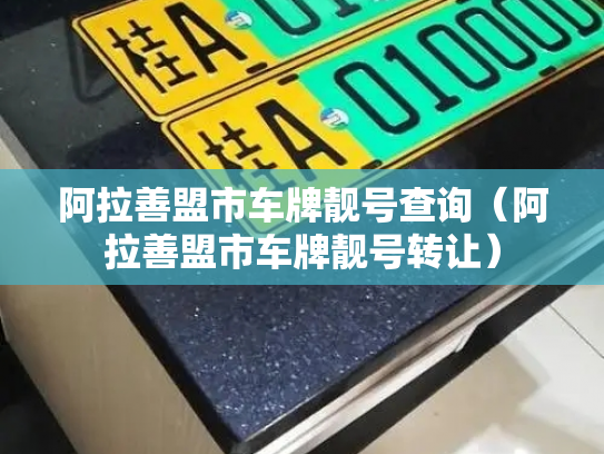 阿拉善盟市车牌靓号查询(阿拉善盟市车牌靓号转让)-第2张图片-七号汽车选号 阿拉善盟市车牌靓号查询(阿拉善盟市车牌靓号转让)-第2张图片-七号汽车选号