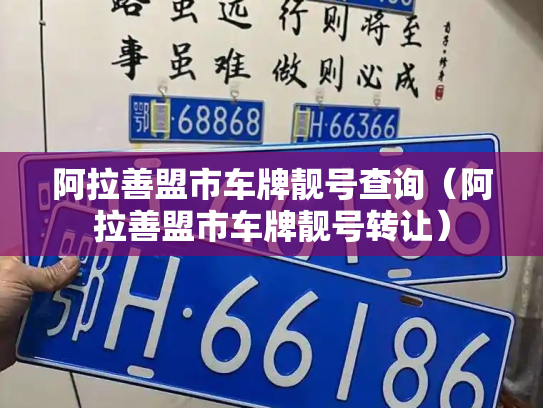 阿拉善盟市车牌靓号查询(阿拉善盟市车牌靓号转让)-第3张图片-七号汽车选号 阿拉善盟市车牌靓号查询(阿拉善盟市车牌靓号转让)-第3张图片-七号汽车选号