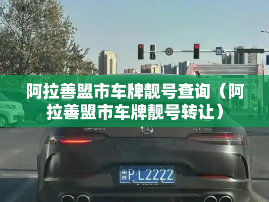 阿拉善盟市车牌靓号查询（阿拉善盟市车牌靓号转让）