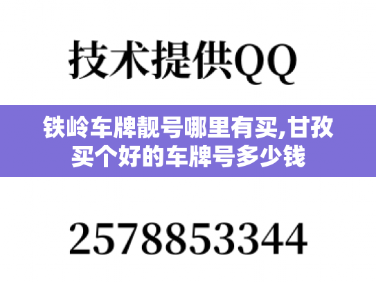 铁岭车牌靓号哪里有买,甘孜买个好的车牌号多少钱