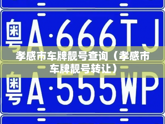 孝感市车牌靓号查询(孝感市车牌靓号转让)-第2张图片-七号汽车选号 孝感市车牌靓号查询(孝感市车牌靓号转让)-第2张图片-七号汽车选号