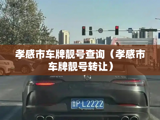 孝感市车牌靓号查询(孝感市车牌靓号转让)-第3张图片-七号汽车选号 孝感市车牌靓号查询(孝感市车牌靓号转让)-第3张图片-七号汽车选号