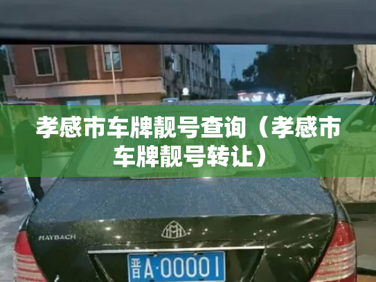孝感市车牌靓号查询（孝感市车牌靓号转让）