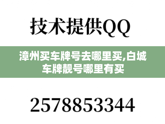 漳州买车牌号去哪里买,白城车牌靓号哪里有买