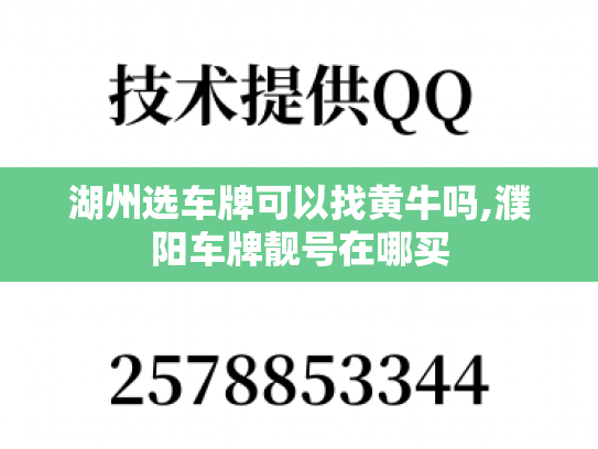 湖州选车牌可以找黄牛吗,濮阳车牌靓号在哪买