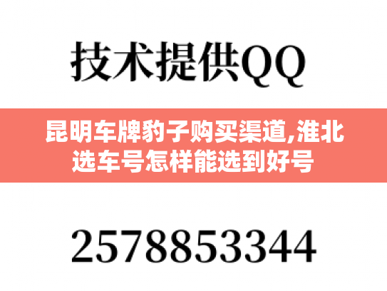 昆明车牌豹子购买渠道,淮北选车号怎样能选到好号