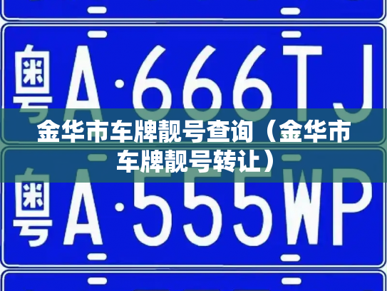 金华市车牌靓号查询(金华市车牌靓号转让)-第2张图片-七号汽车选号 金华市车牌靓号查询(金华市车牌靓号转让)-第2张图片-七号汽车选号