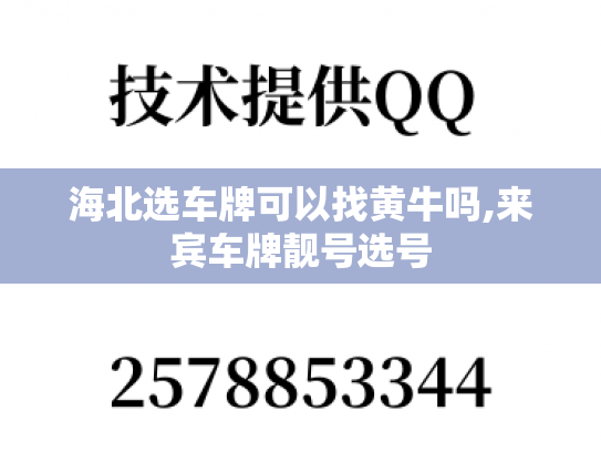 海北选车牌可以找黄牛吗,来宾车牌靓号选号