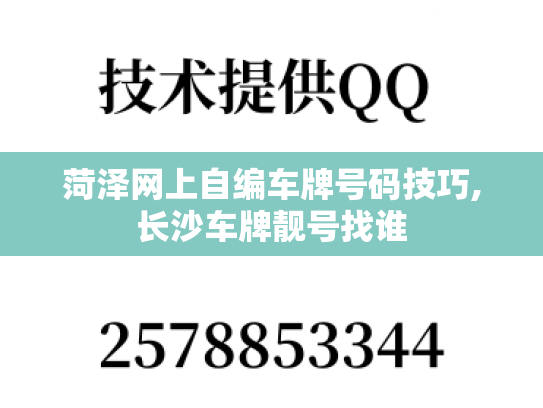 菏泽网上自编车牌号码技巧,长沙车牌靓号找谁