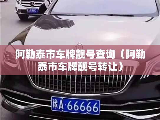 阿勒泰市车牌靓号查询（阿勒泰市车牌靓号转让）-第2张图片-七号汽车选号