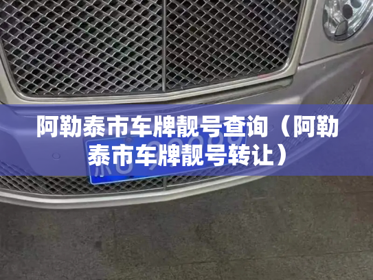 阿勒泰市车牌靓号查询（阿勒泰市车牌靓号转让）