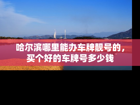 哈尔滨哪里能办车牌靓号的，买个好的车牌号多少钱-第1张图片-七号汽车选号