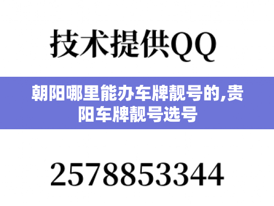 朝阳哪里能办车牌靓号的,贵阳车牌靓号选号