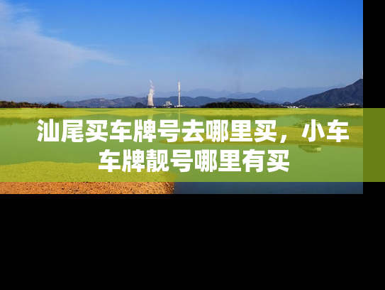 汕尾买车牌号去哪里买，小车车牌靓号哪里有买-第1张图片-七号汽车选号