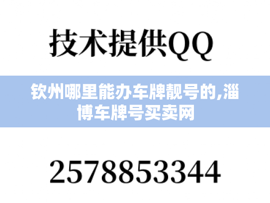 钦州哪里能办车牌靓号的,淄博车牌号买卖网