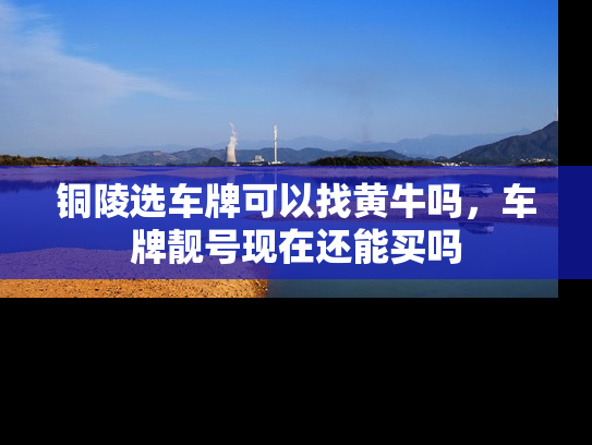 铜陵选车牌可以找黄牛吗，车牌靓号现在还能买吗-第1张图片-七号汽车选号