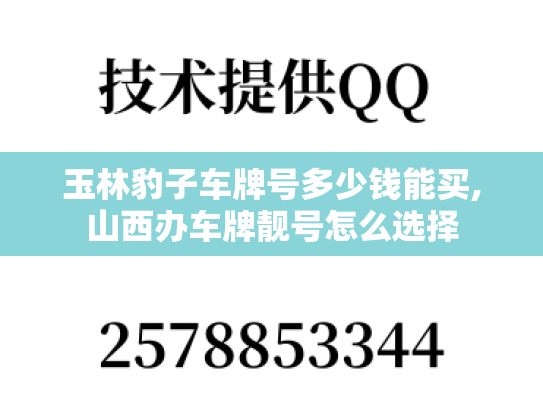 玉林豹子车牌号多少钱能买,山西办车牌靓号怎么选择