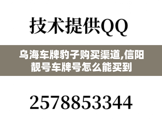 乌海车牌豹子购买渠道,信阳靓号车牌号怎么能买到