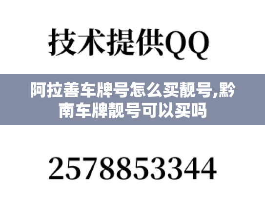 阿拉善车牌号怎么买靓号,黔南车牌靓号可以买吗