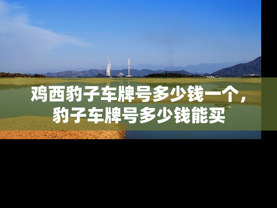 鸡西豹子车牌号多少钱一个，豹子车牌号多少钱能买