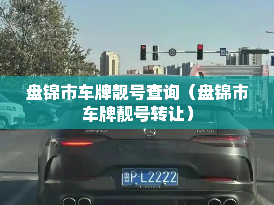盘锦市车牌靓号查询（盘锦市车牌靓号转让）-第2张图片-七号汽车选号