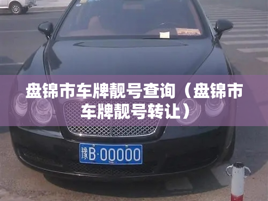 盘锦市车牌靓号查询（盘锦市车牌靓号转让）-第3张图片-七号汽车选号
