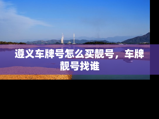遵义车牌号怎么买靓号，车牌靓号找谁-第1张图片-七号汽车选号