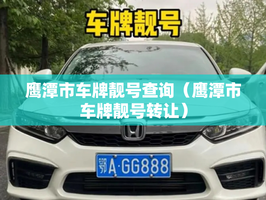 鹰潭市车牌靓号查询（鹰潭市车牌靓号转让）-第3张图片-七号汽车选号
