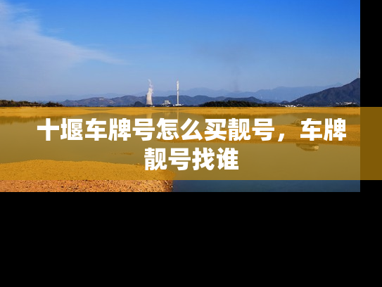 十堰车牌号怎么买靓号，车牌靓号找谁-第1张图片-七号汽车选号