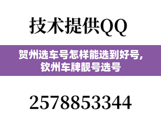 贺州选车号怎样能选到好号,钦州车牌靓号选号