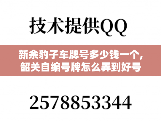 新余豹子车牌号多少钱一个,韶关自编号牌怎么弄到好号