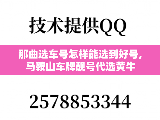 那曲选车号怎样能选到好号,马鞍山车牌靓号代选黄牛