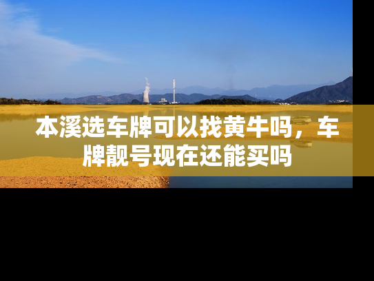 本溪选车牌可以找黄牛吗，车牌靓号现在还能买吗-第1张图片-七号汽车选号